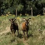 בית נופש La Barzaliere